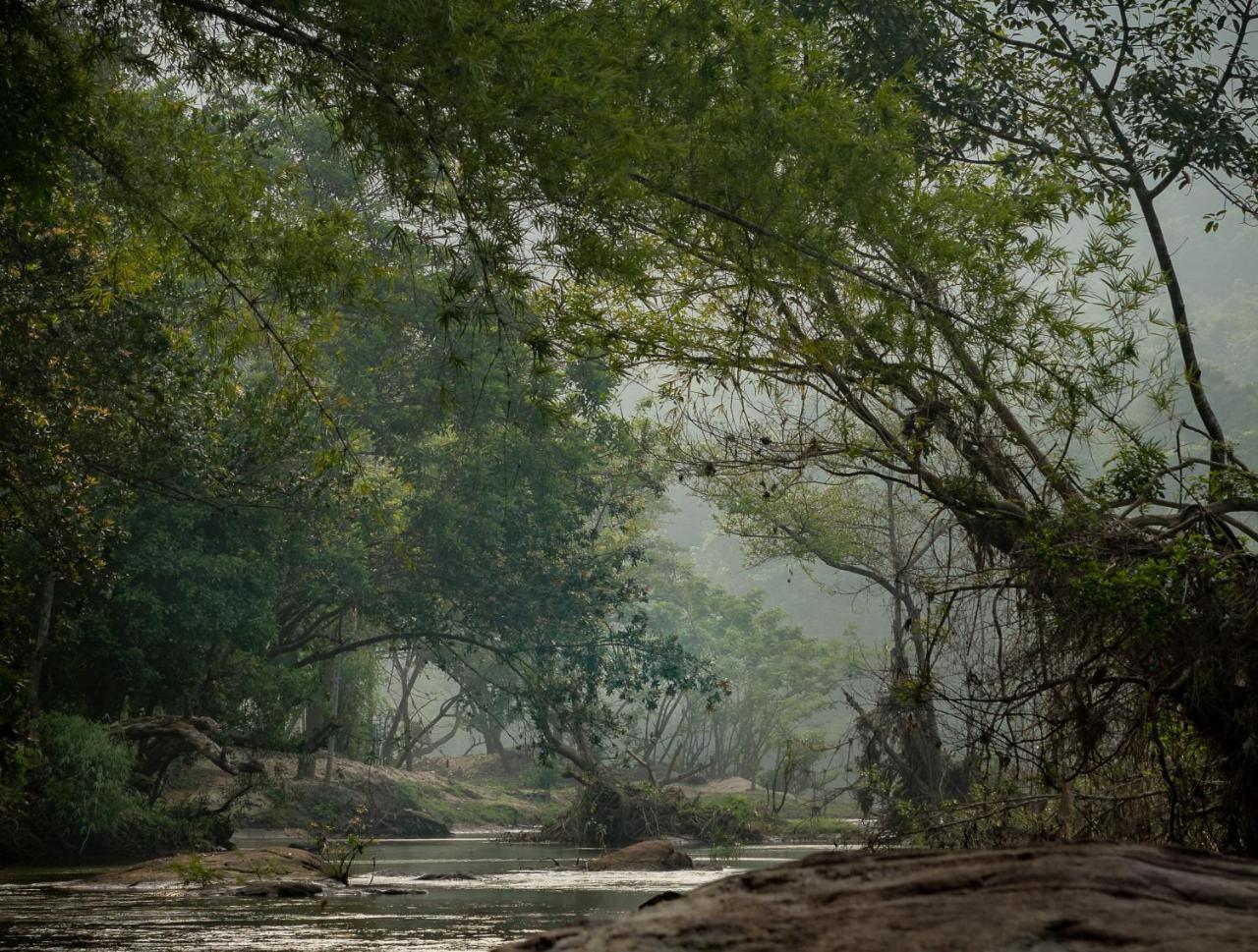 Quiet By The River- Cgh Earth Thodakayam Εξωτερικό φωτογραφία